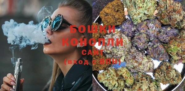 ПСИЛОЦИБИНОВЫЕ ГРИБЫ Белокуриха