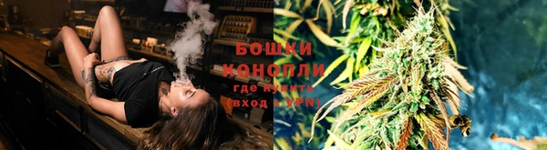 ГАЛЛЮЦИНОГЕННЫЕ ГРИБЫ Балабаново